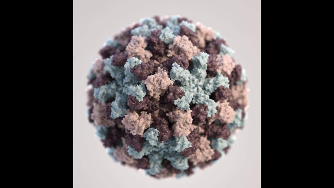 Here’s what to know about noroviruses, which can cause vomiting and diarrhea known as stomach flu, including symptoms and prevention.