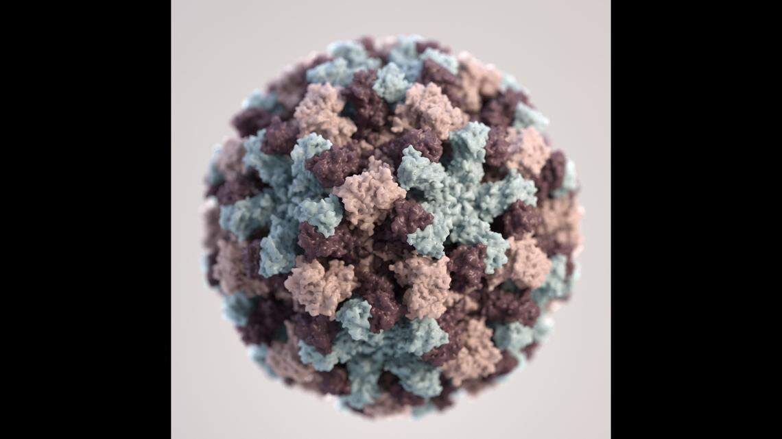 Here’s what to know about noroviruses, which can cause vomiting and diarrhea known as stomach flu, including symptoms and prevention.
