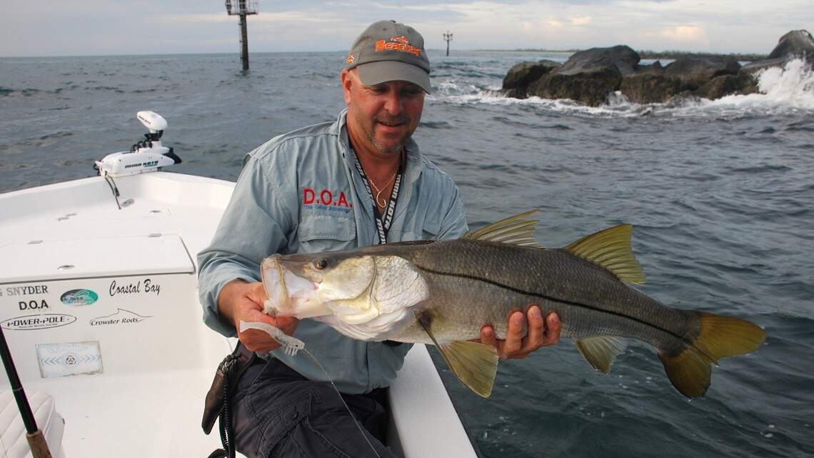 Anglers must catch and release snook until Aug. 31, but it’s a good time to scout popular spots