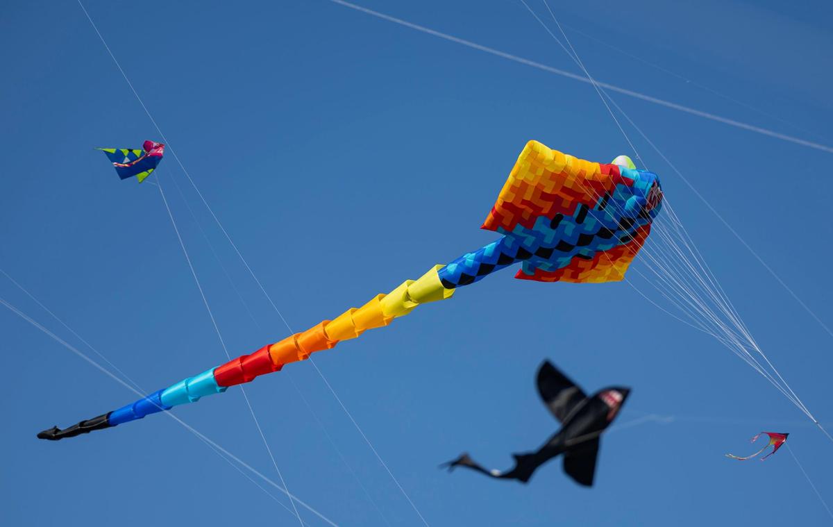 Kites fly over Haulover Park during the 33rd Annual Kite Festival in Northeast Miami-Dade on Saturday, Feb. 15, 2025.
