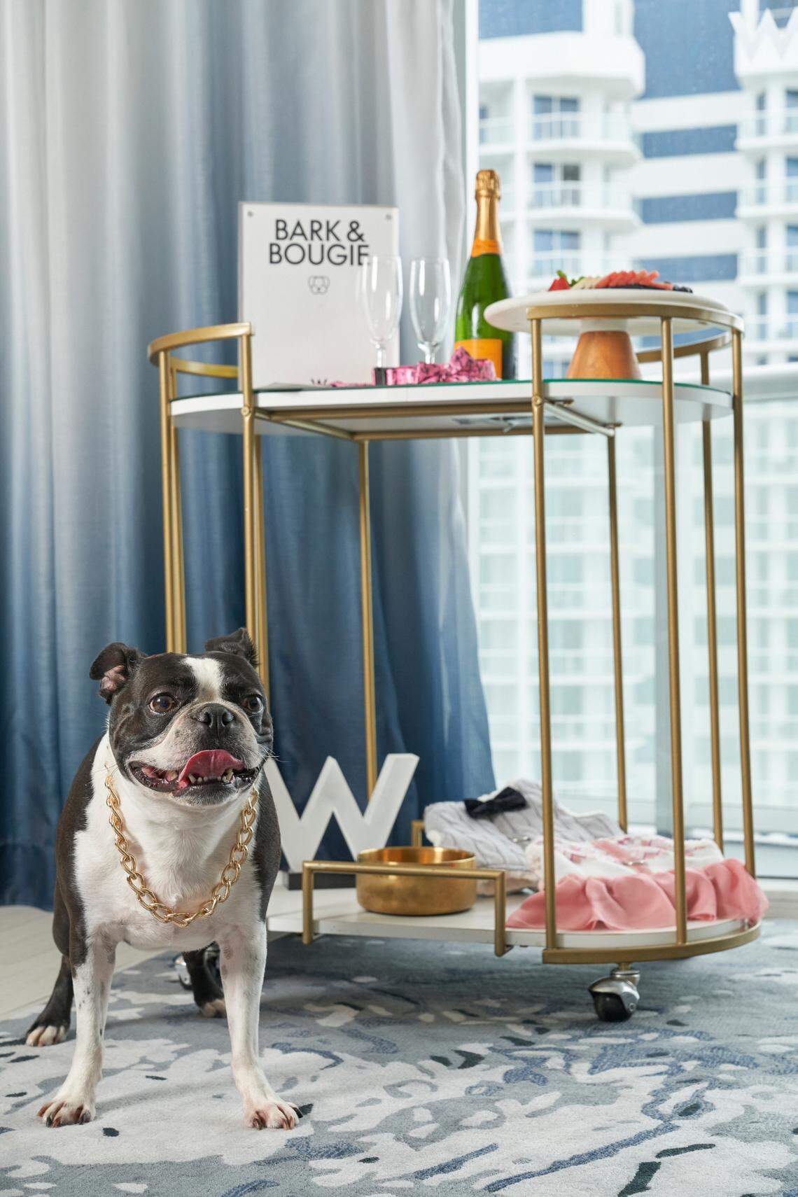 Spoil your pup with the Bark & Bougie package at W Fort Lauterdale.