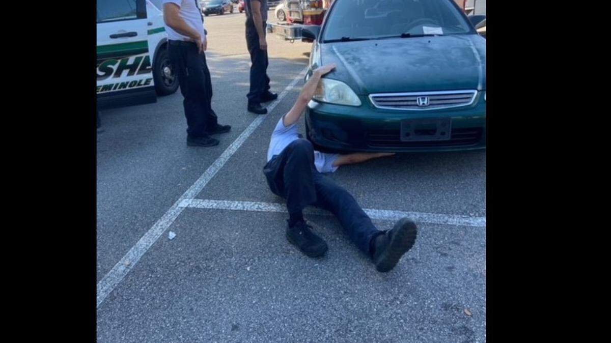 A cat is rescued from under a car in Seminole County, Florida.