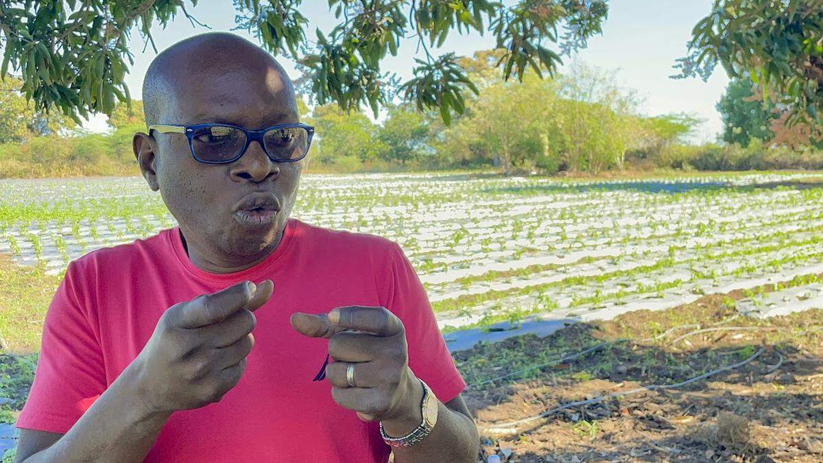 Maxwell Marcelin y su esposa, Kalinda Magloire, dedicada a la producción de cocinas limpias, son unos de los cuatro amigos de Puerto Príncipe que ahora trabajan con agricultores del norte de Haití para ayudarles a encontrar mejores técnicas de cultivo.