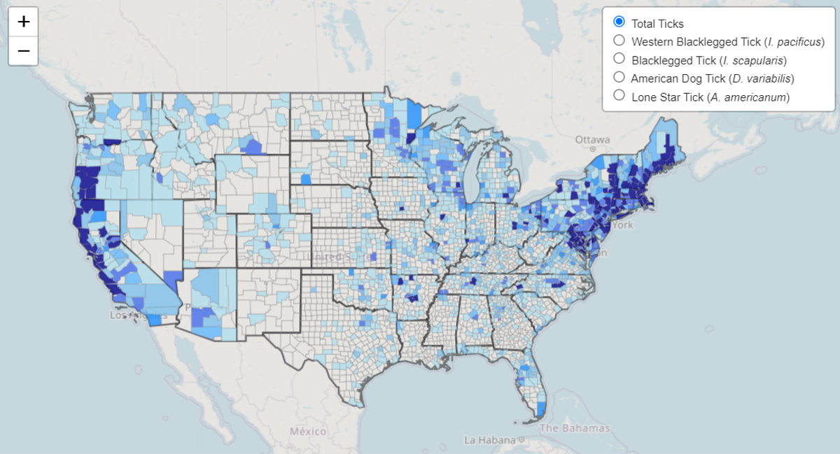 This map shows the distribution by county of the tick species collected, including western blacklegged tick, blacklegged tick, American dog tick and the lone star tick. White counties indicate areas without tick submissions.