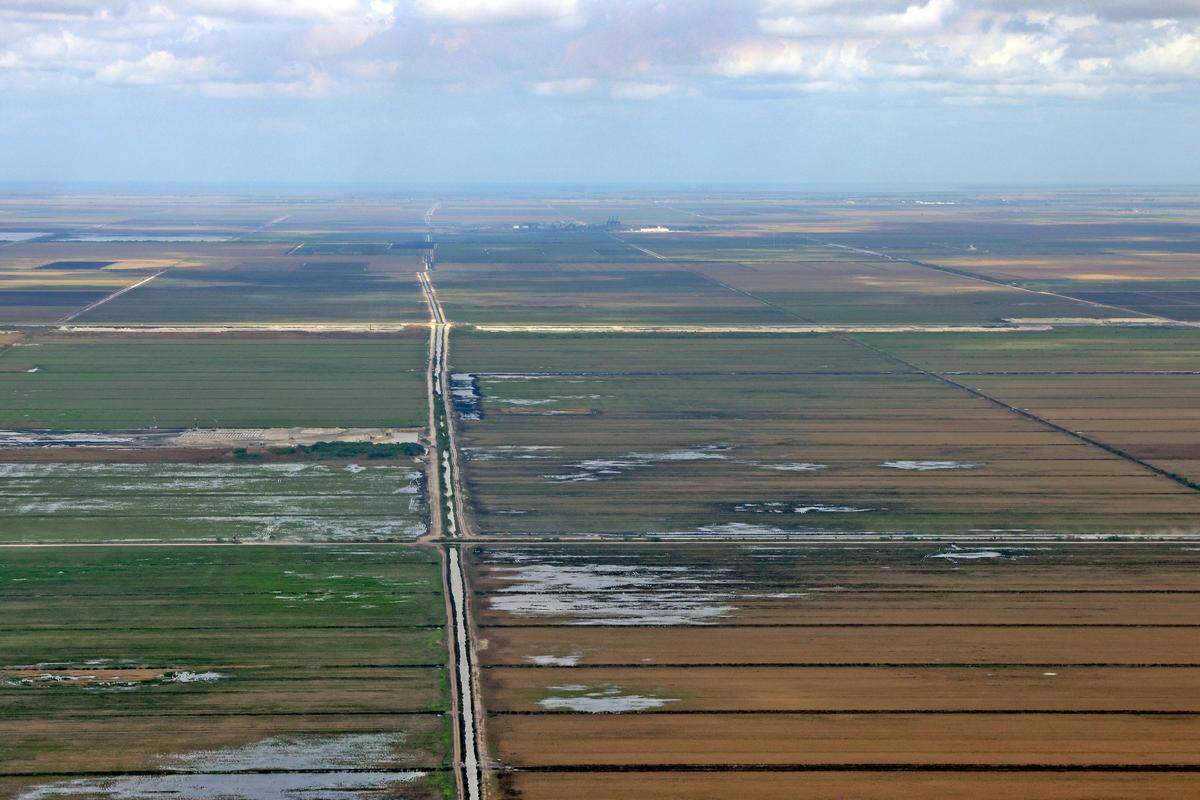 South of Lake Okeechobee, nearly half a million acres of crops grow. The brown rows in front may indicate sugarcane that was recently harvested. Flight provided by LightHawk