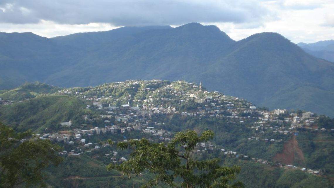 The new species tried to bite scientists who discovered the animals perched on buildings in Lawngtlai town, Mizoram, a study said.