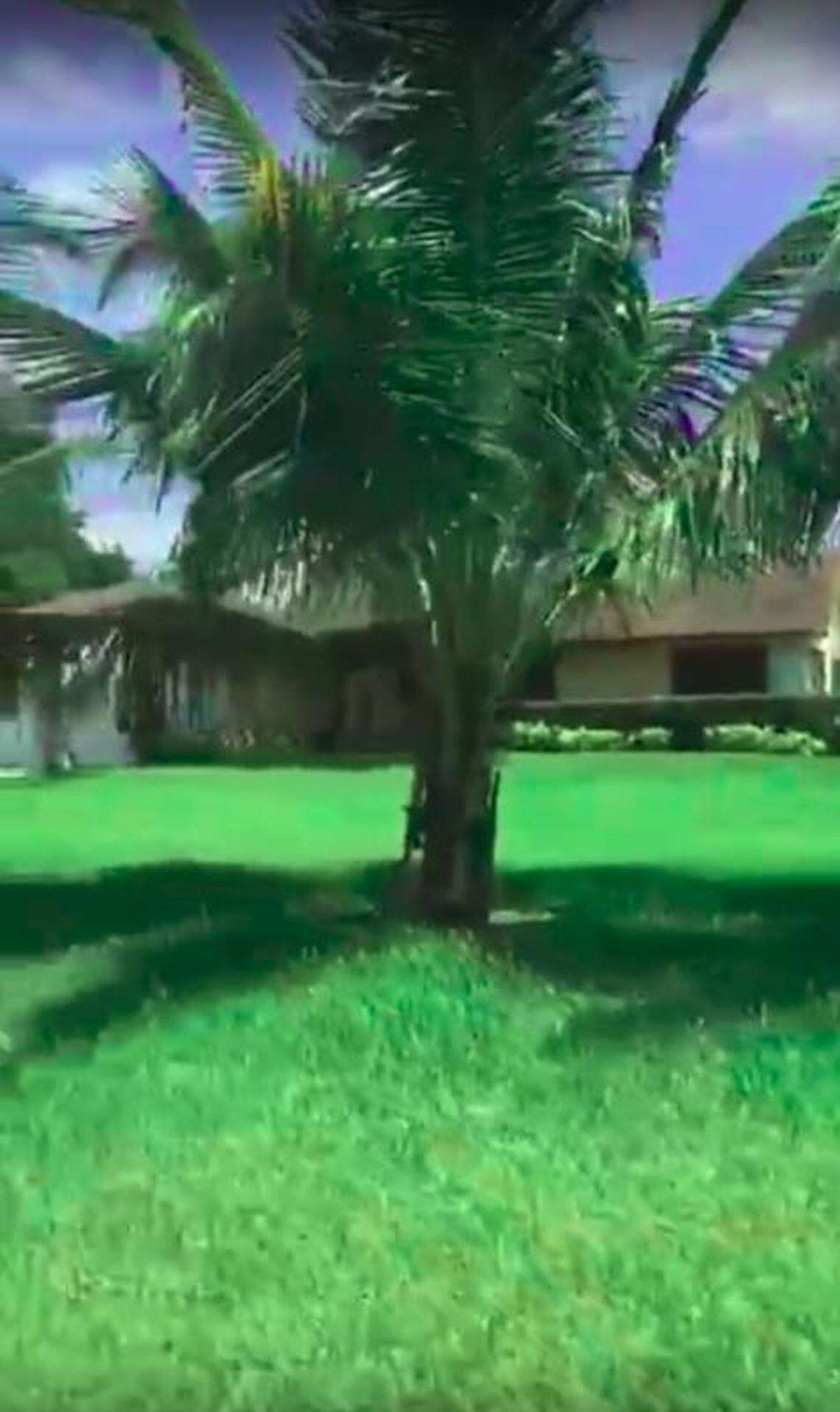 Still from a video taken by reporters who visited one of the Padrino family properties in Florida.