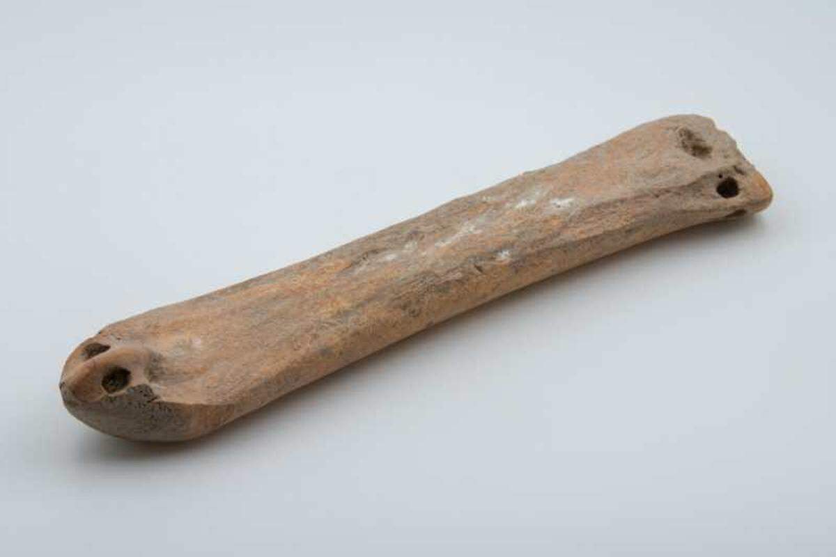 The animal bone skate found in the tomb.