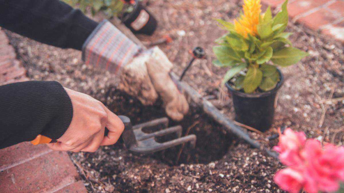 A mother and her child made an ancient discovery as they worked on their garden in Poland.