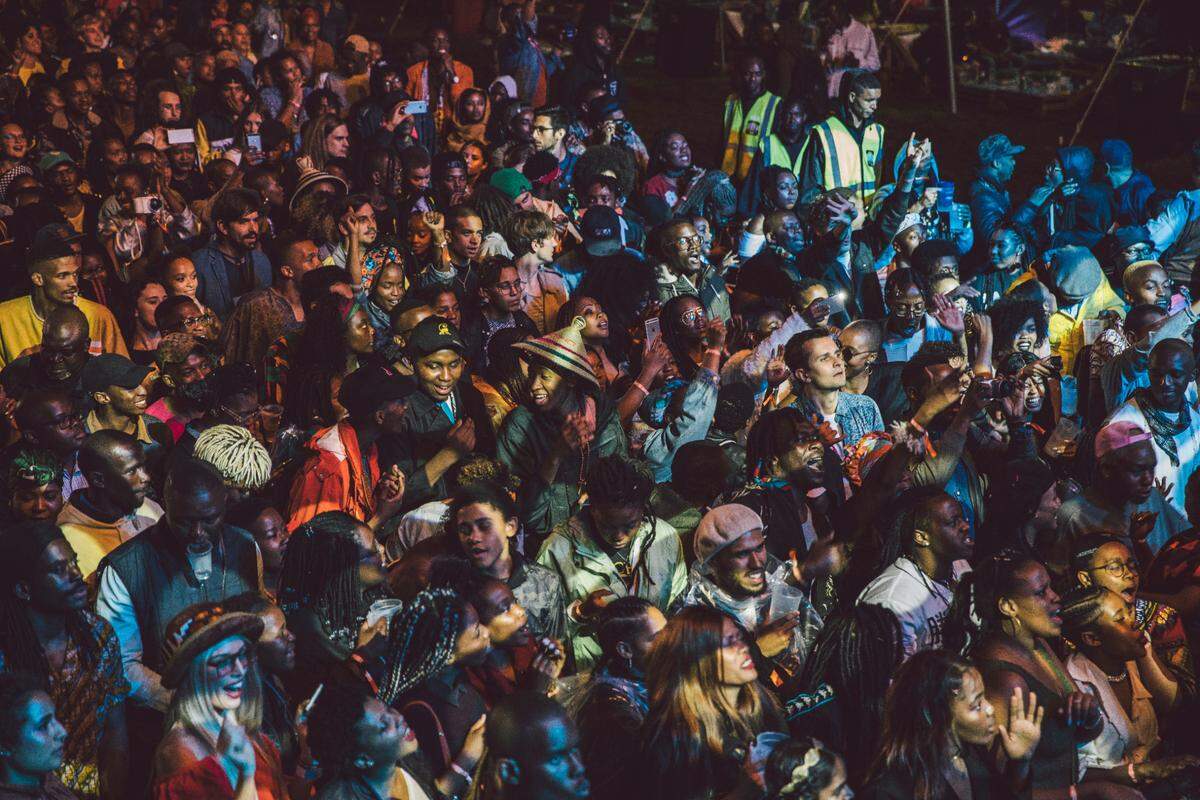 A shot of the crowd at AFROPUNK Johannesburg.