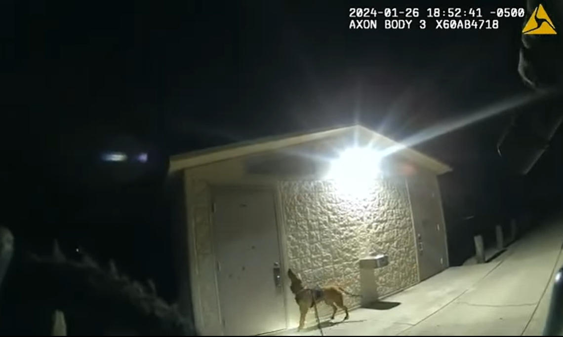 Mary Lu, a K9 officer with the Hillsborough County Sheriff’s Office, led the search for an 11-year-old girl reported missing from her Florida home.