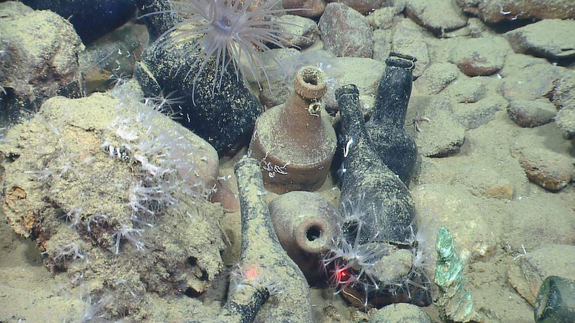 Glass bottles remain intact in the Monterrey C wreckage.