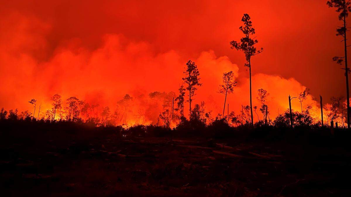 Three simultaneous wildfires in North Florida burned more than 34,000 acres, destroyed two homes and forced evacuations from more than a thousand homes in March. New research suggests climate change could double Florida’s fire risk in the next 30 years.