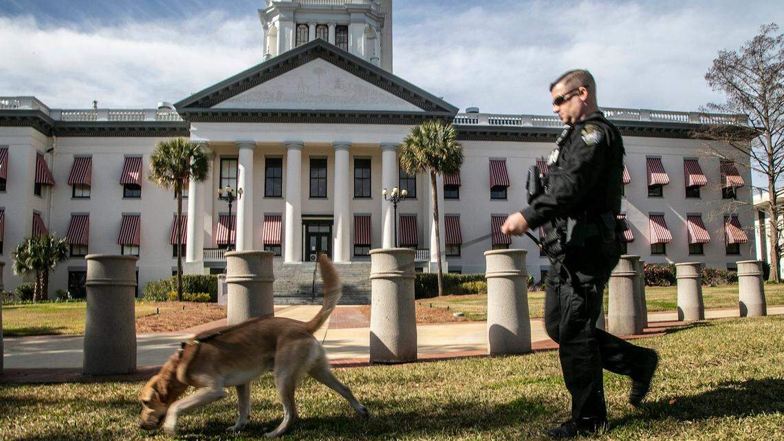 A K9 FDLE officer and his dog are seen in front of the old Capitol in Tallahassee early Sunday morning, Jan. 17 2021.