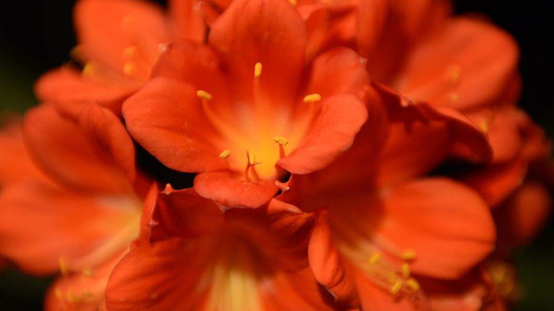 National Infertility Awareness Week is here. Here is what not to say and what actually helps someone navigating this.