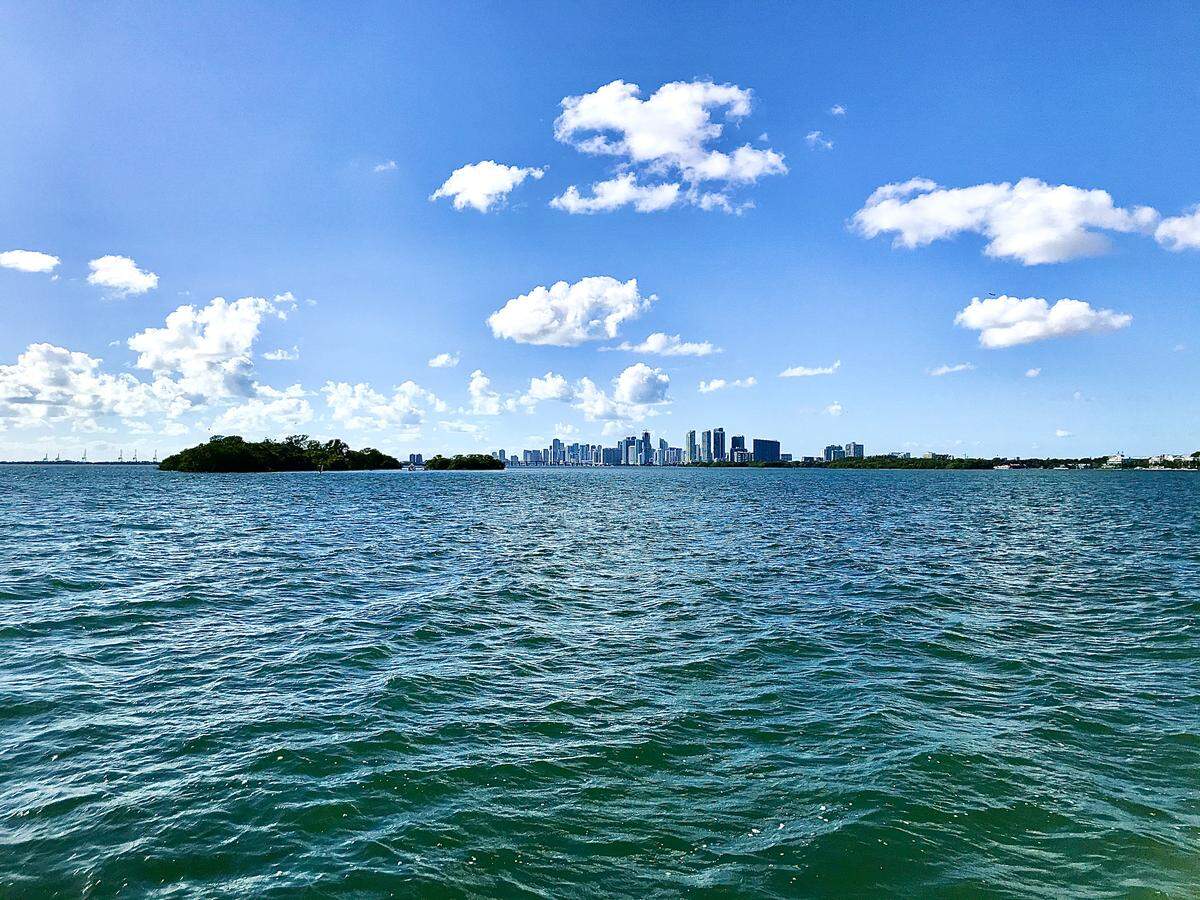 Bird Key is one of only two natural islands in Biscayne Bay north of Virginia Key. It was named centuries ago by a British surveyor sent by King George III and is now owned by Finlay Matheson, a member of a one of the oldest and wealthiest families in Miami.