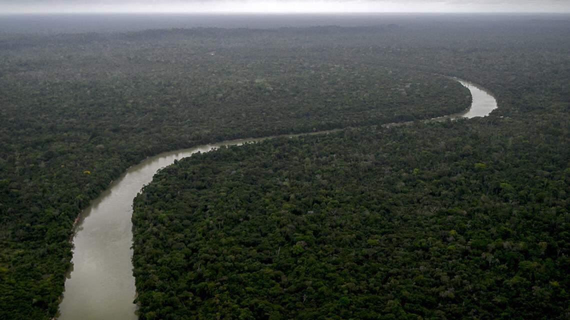 amazon rainforest aerial