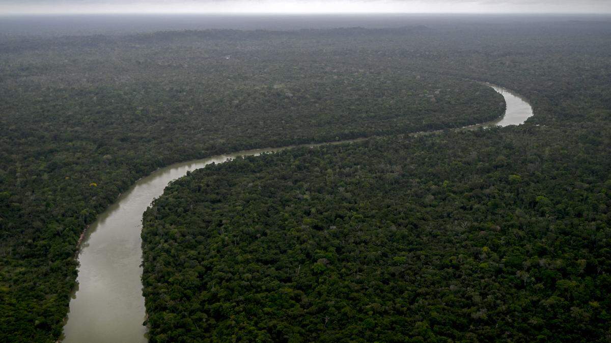 amazon rainforest aerial