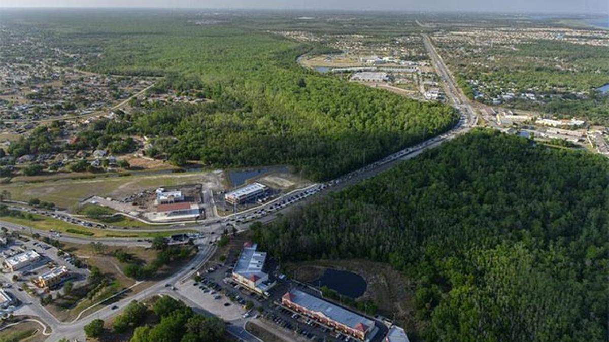 This wildlife corridor in Central Florida is being squeezed by development.
