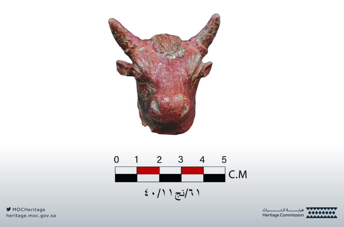 The bronze bull’s head found at the site.