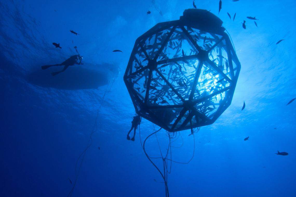 Ocean Era’s first demonstration project in Hawaii was a drifting fish cage called the Aquapod, filled with about 2,000 fish.