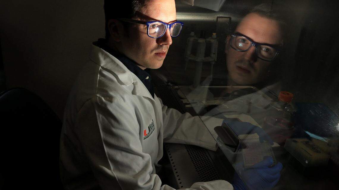 Diogo Magnani, a scientist with the University of Miami's Miller School of Medicine, prepares cell cultures in a bio safety cabinet in this October 2017 photo. Magnani is the lead author of a study that identified a "cocktail" of antibodies that can prevent the spread of Zika in monkeys. This week, Magnani and his colleagues published an update to their study, finding that while the experimental therapy cleared Zika from the blood of pregnant monkeys, the antibodies could not erase the virus from the amniotic fluid, leaving the fetus at risk of infection and potential brain abnormalities.