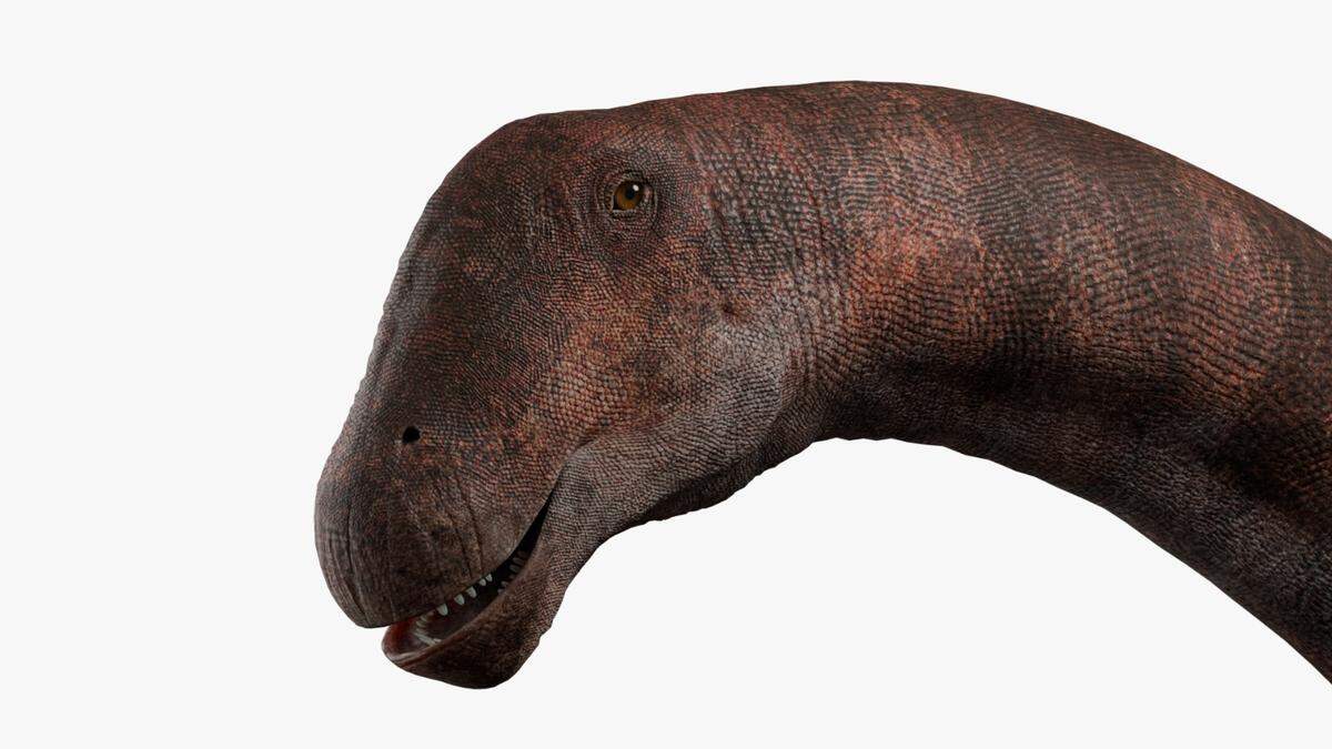 The “titan of the salt” was relatively small compared to other titanosaurs.