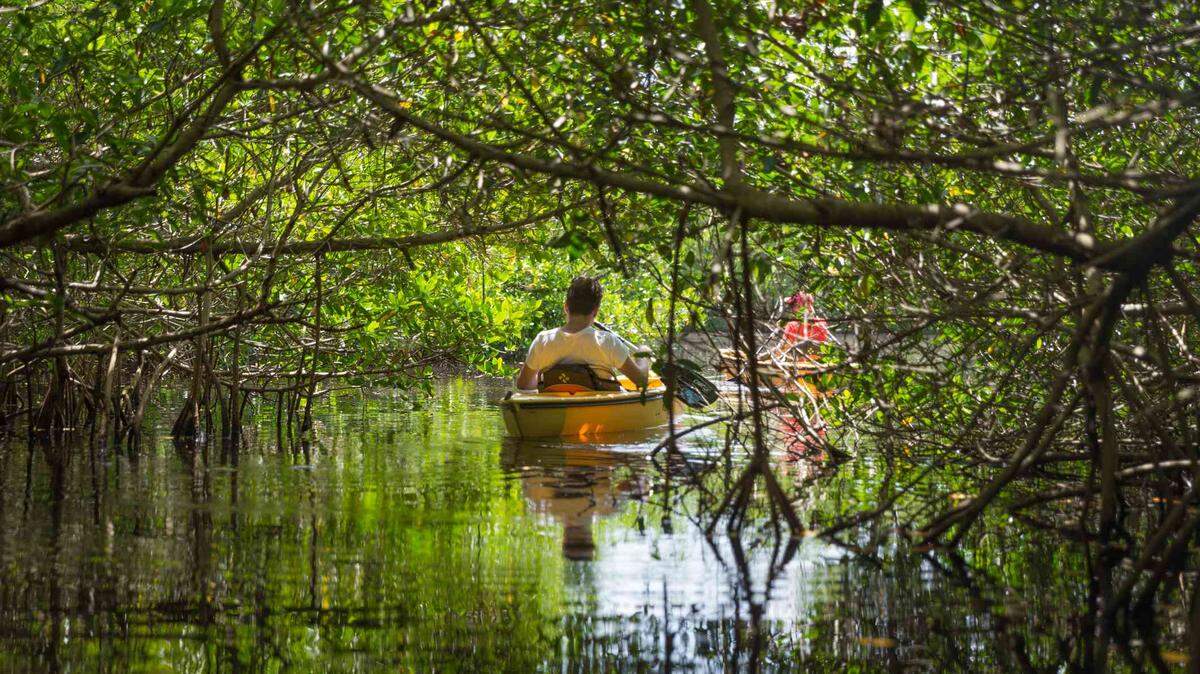 Restoring the flow of fresh water to the Everglades is vital to South Floridians and the water they use.