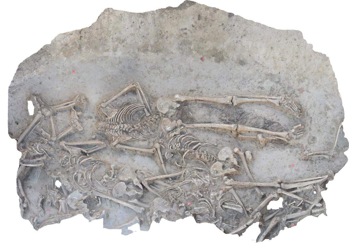 A close up view of some of the headless skeletons.