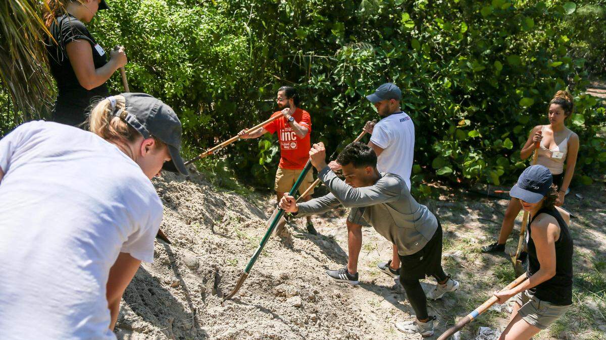 United Way LINC volunteers dig in to help rebuild a beach volleyball court and add new benches at AMIkids Miami-Dade South in Key Biscayne.