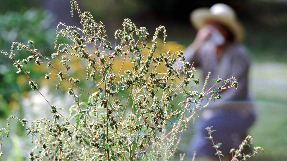 Allergy sufferers may not be surprised to learn that the Miami area has been running a medium-high forecast during much of March 2023. South Florida has seen little rain and hot, dry conditions.