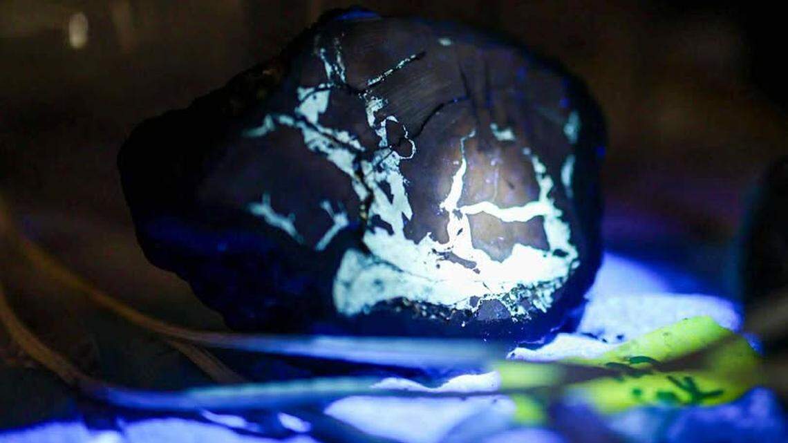 When exposed to UV light, the sediment in this piece of volcanic rock phosphoresces, glowing green for several seconds. This brief “glow in the dark” effect reveals the sediment is made out of calcite and/or a phosphate mineral, experts say.
