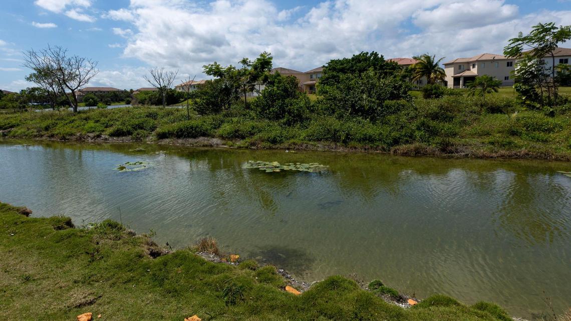 A section of Black Creek Canal that runs parallel with Southwest 87th Avenue in Homestead, Florida, on Tuesday, March 21, 2023.