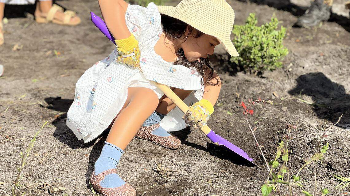 The native plant garden at Brockway Library was funded with donations from the community and Bound by Beauty’s Mary Benton. Many were made in memory of Miami Herald Opinion Editor Nancy Ancrum, who loved books, plants and butterflies.