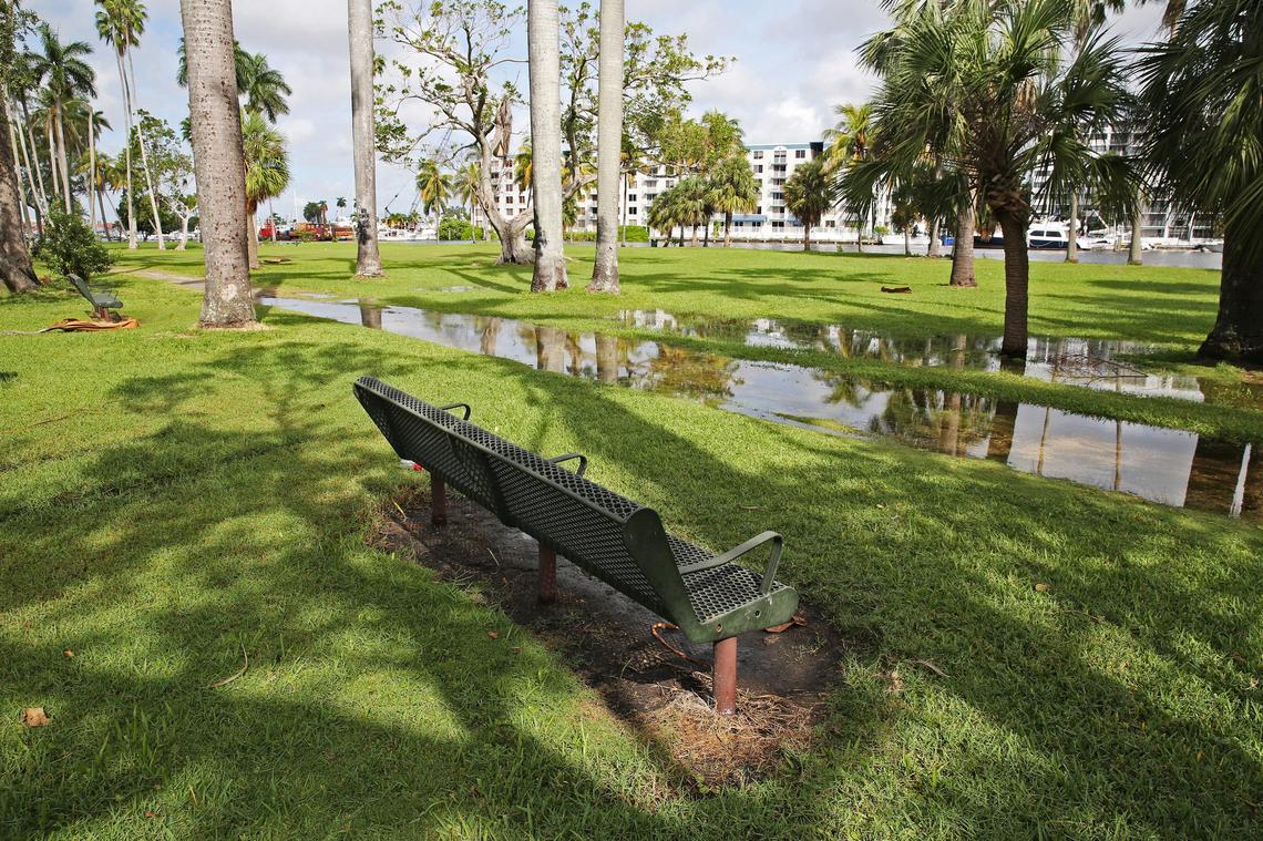 E.G. Sewell Park along the Miami River experienced some flooding during the morning King Tide, Tuesday Oct. 9, 2018. A sidewalk near a bench inside the park was underwater and other areas close to water were also partially flooded.