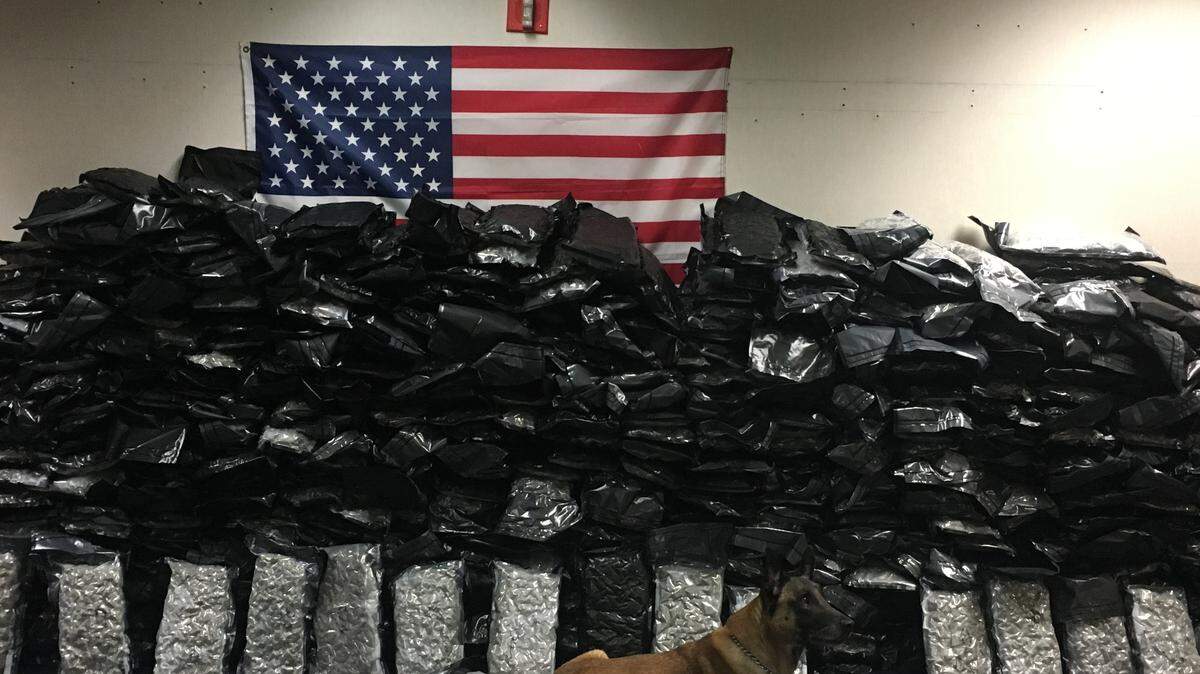 K-9 Piet sits with his 624-pound haul after Florida Highway Patrol arrested Huong Le and Tam Dinh on numerous narcotics charges. 