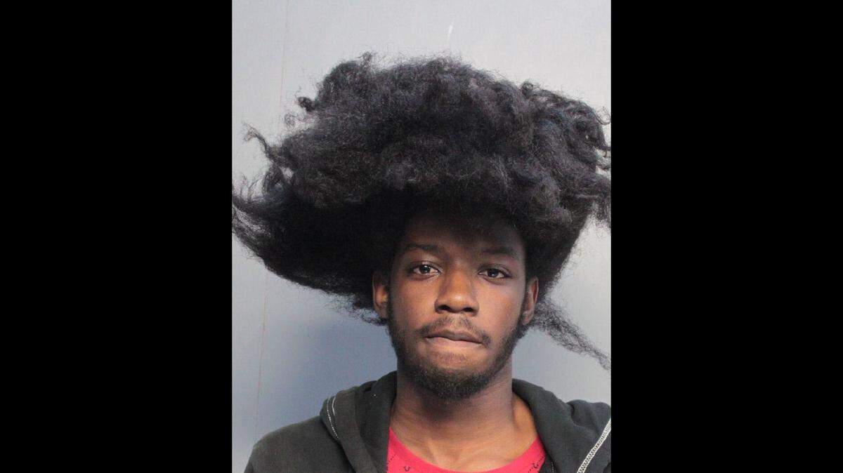 Emmanuel Reggin Jr., an 18-year-old seasonal UPS employee, was arrested by Miami-Dade police for stealing three packages he had offloaded from a UPS truck.