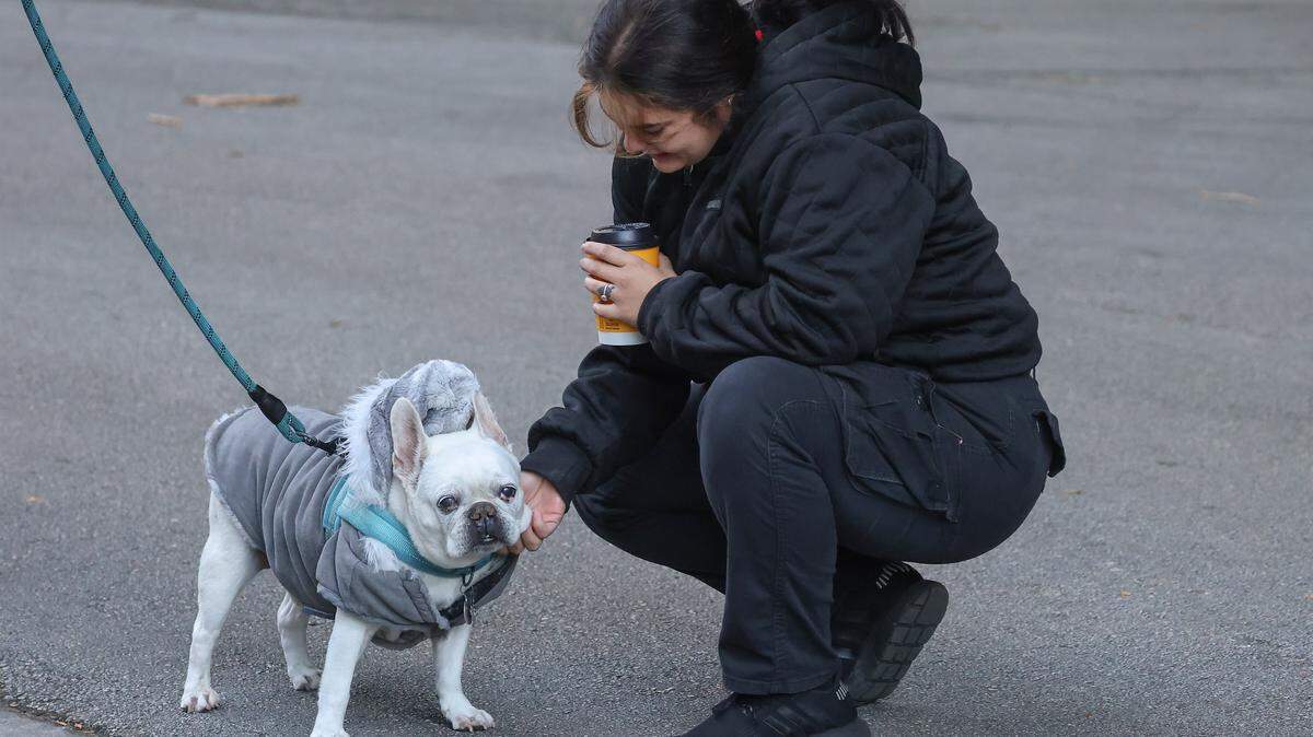 French bulldog Theo gets a warm greeting from security guard Samantha Rodriguez, 25, during a Miami cold snap in November.