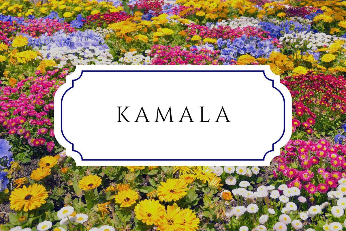 names that mean flower kamala