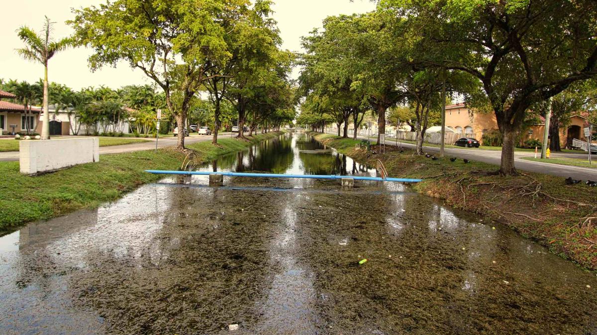 Miami Springs suffered canal levee breaches during storms last year, and parts of the city are prone to flooding.