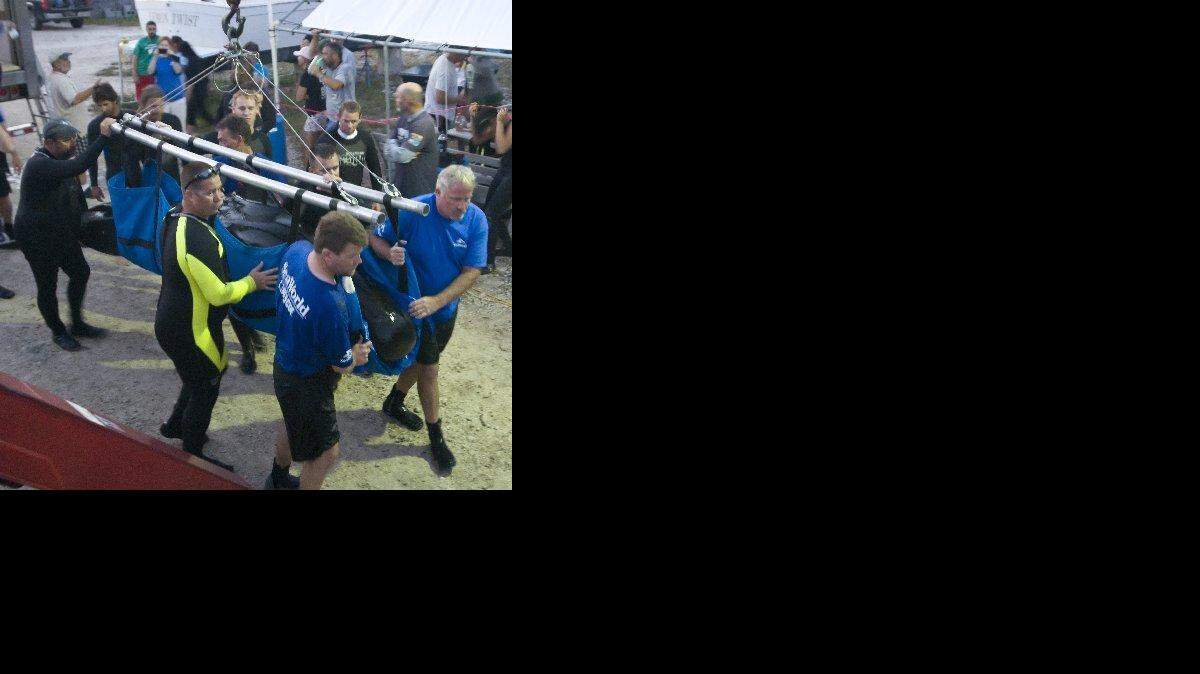 In this photo released by the Florida Keys News Bureau, marine mammal responders carry one of five pilot whales that were transported to the Marine Mammal Conservancy in Key Largo, Fla., Tuesday.