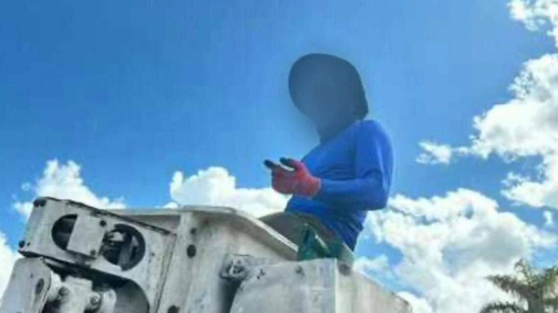 In Hollywood, man in cherry picker is seen as coconut thief and doing a service