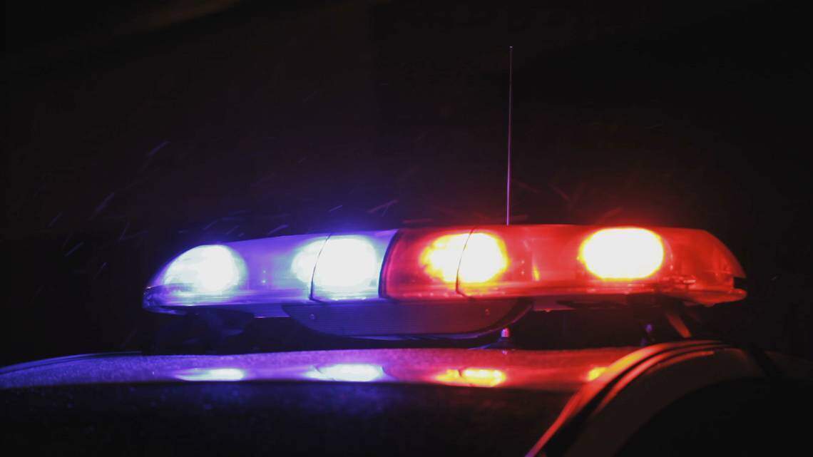 Cops say a Davie officer was trying to shoot a charging dog. Instead, he shot himself