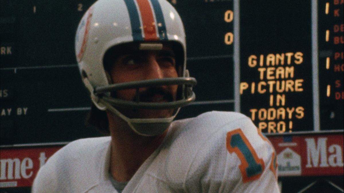 Miami Dolphins quarterback Jim Del Gaizo (11) during an NFL football game against the New York Giants, Sunday, Dec. 10th, 1972 in New York City, New York. (Miami Dolphins)