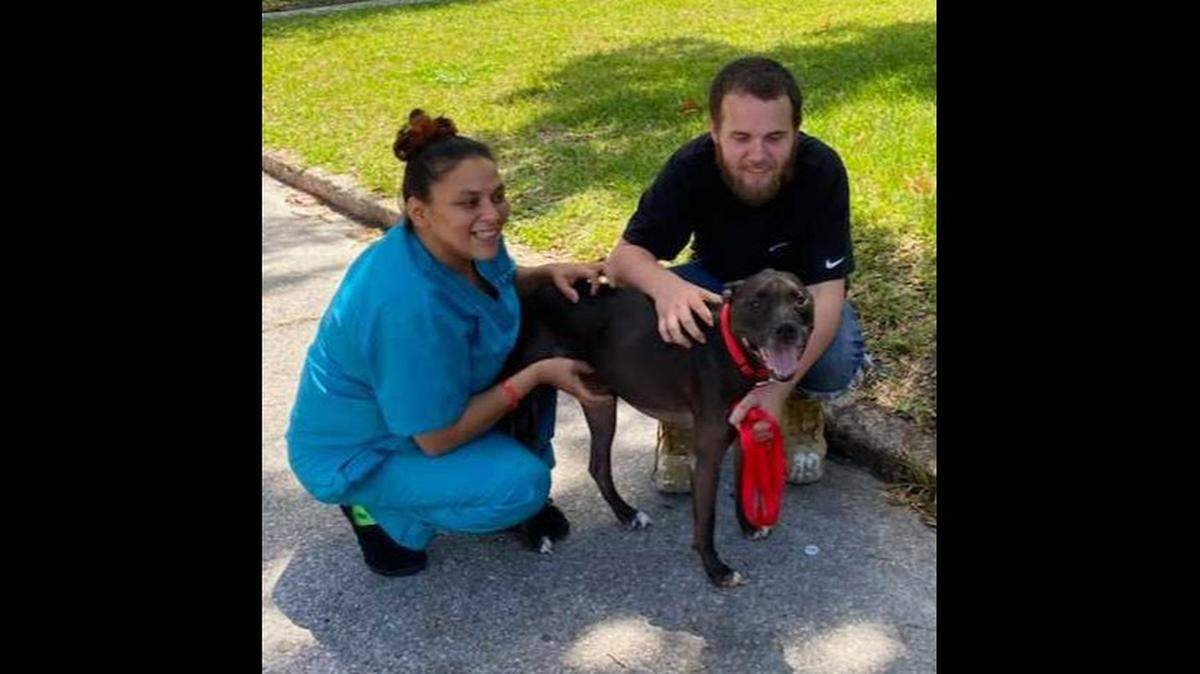 The Humane Society of Tampa Bay shared a touching story on Facebook of the reunion between a man and his dog on April 27, 2021.