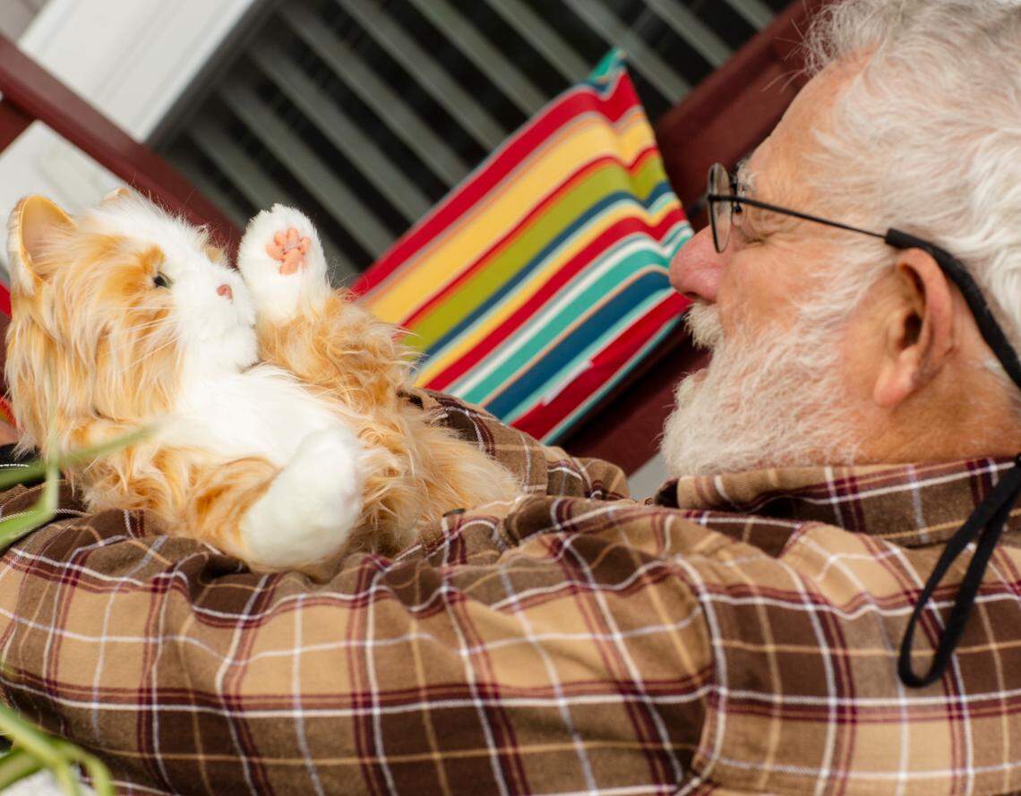 Like real animals, the pets will respond to the person’s voice and touch, have a “lifelike” coat and a “heartbeat” you can feel, according to Ageless Innovation. They also make sounds — cats can purr, dogs can bark — and are able to move their heads, lift their front paws and open and close their eyes.