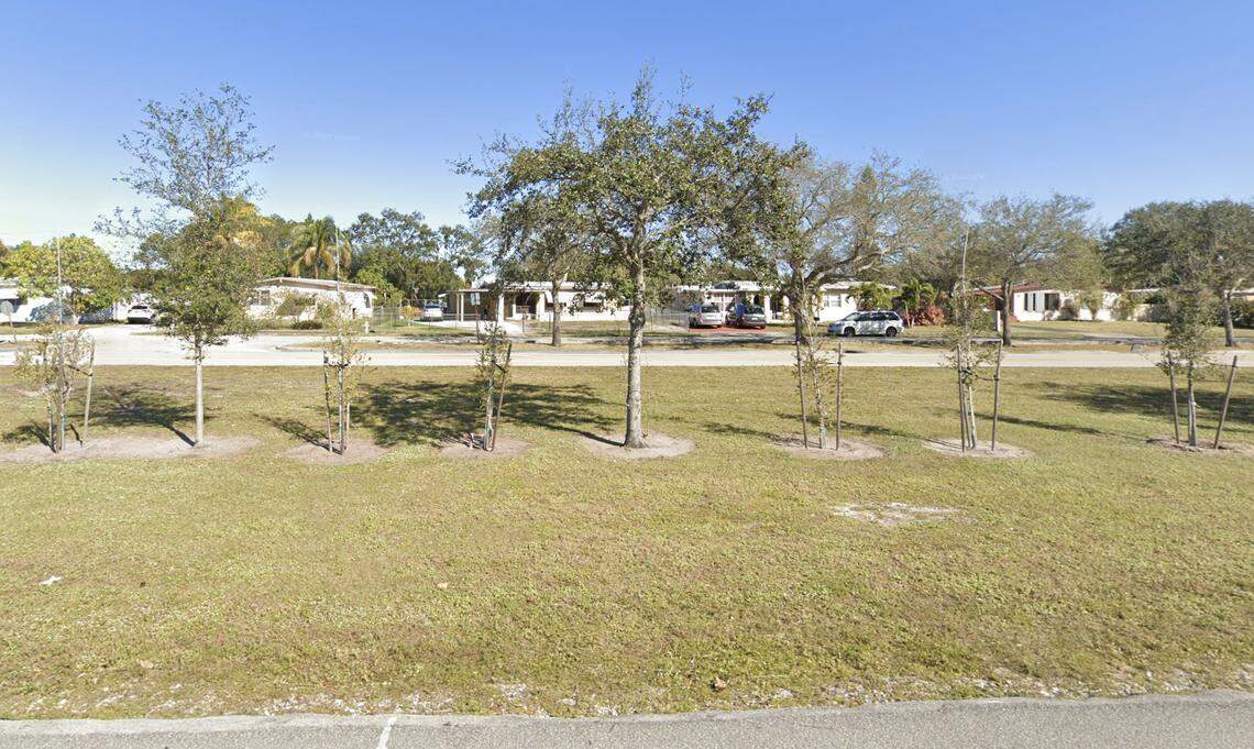 A Google Street View image from 2021 shows saplings planted closely together between more established trees along the Miami-Dade County’s northern border. Reporters who visited the site in 2023 found the trees had not experienced noticeable growth.
