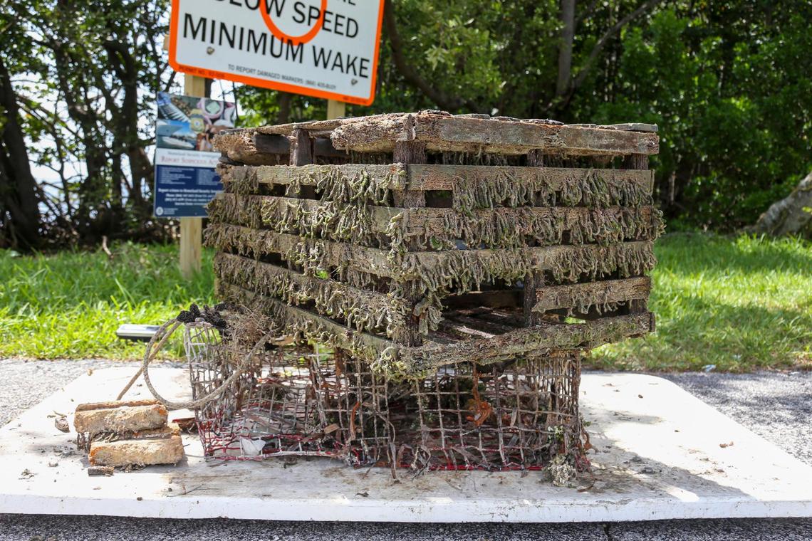 Abandoned traps are weighed during the Ghost Trap Rodeo event at Matheson Hammock Park & Marina in Coral Gables, Florida, Sunday, July 16, 2023.