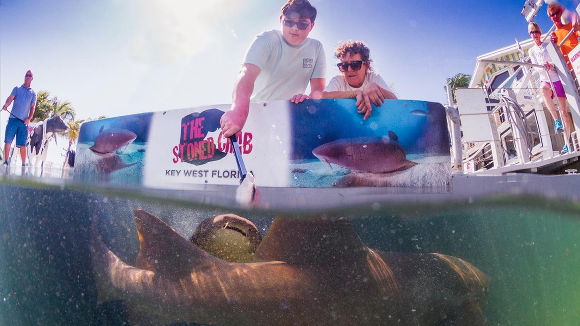 You can actually feed the sharks at The Stoned Crab.