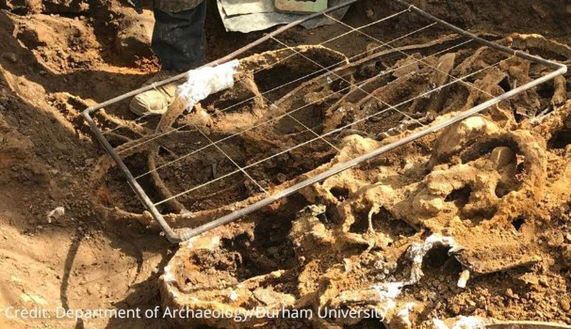 The hoard was originally discovered by a metal detector in 2021 before it was fully excavated.